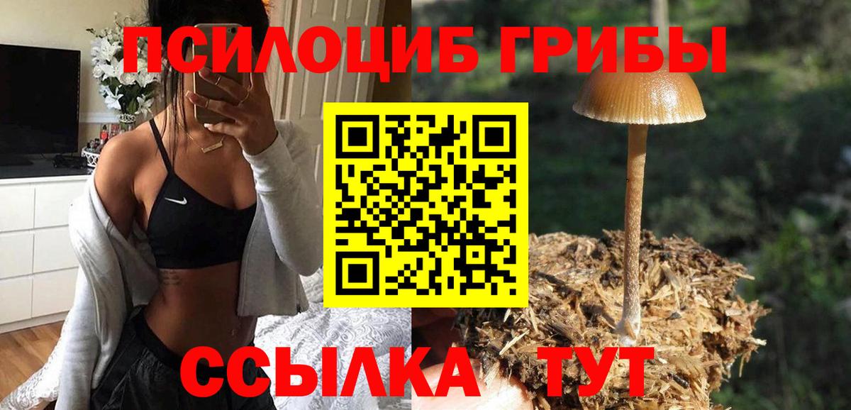 Псилоцибиновые грибы MAGIC MUSHROOMS Казань